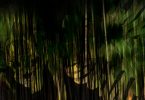 Gashadokuro among bamboo