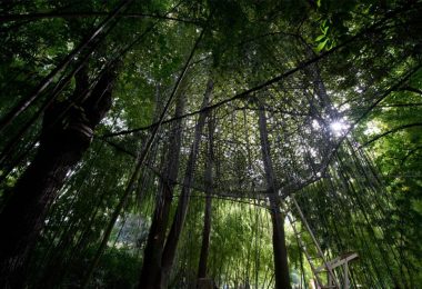 Relaxation oasis “Connections” | TreeNest . Ph. Luigi Fieni